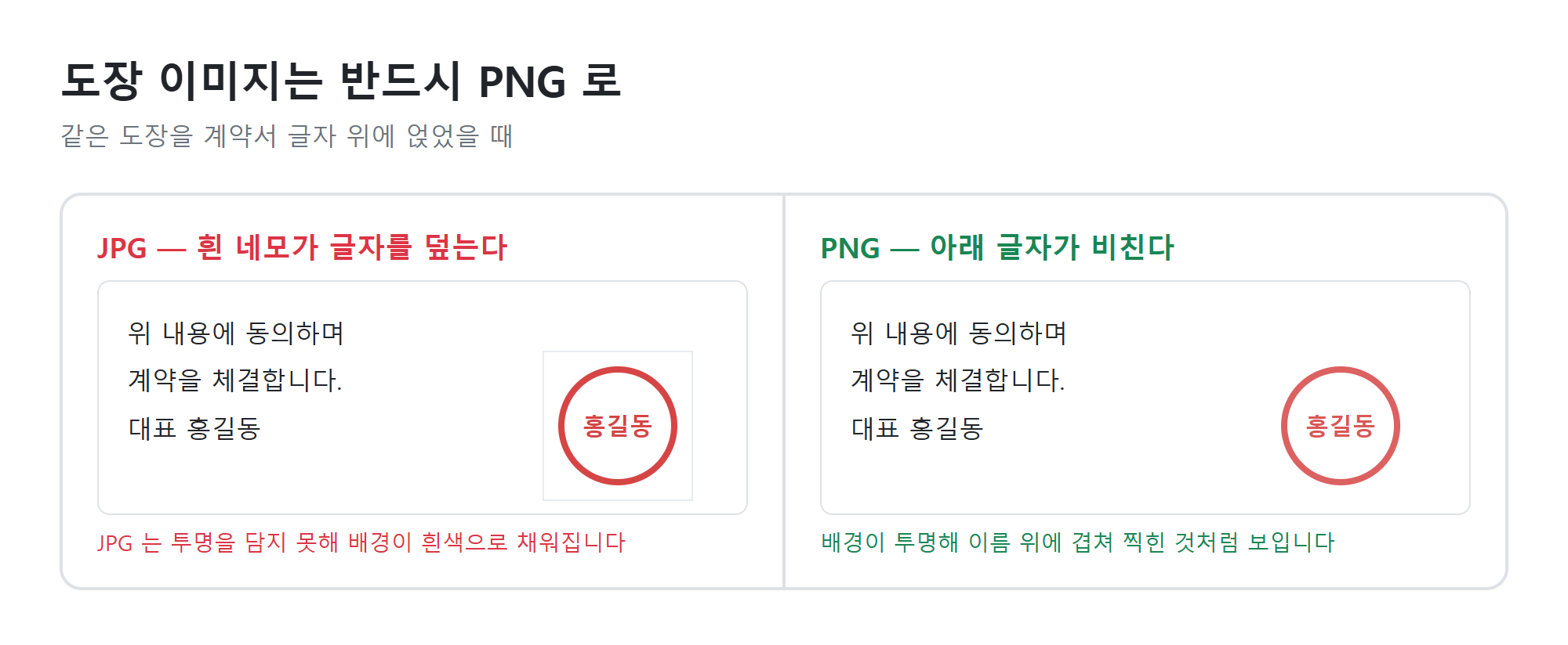 투명 배경 비교
